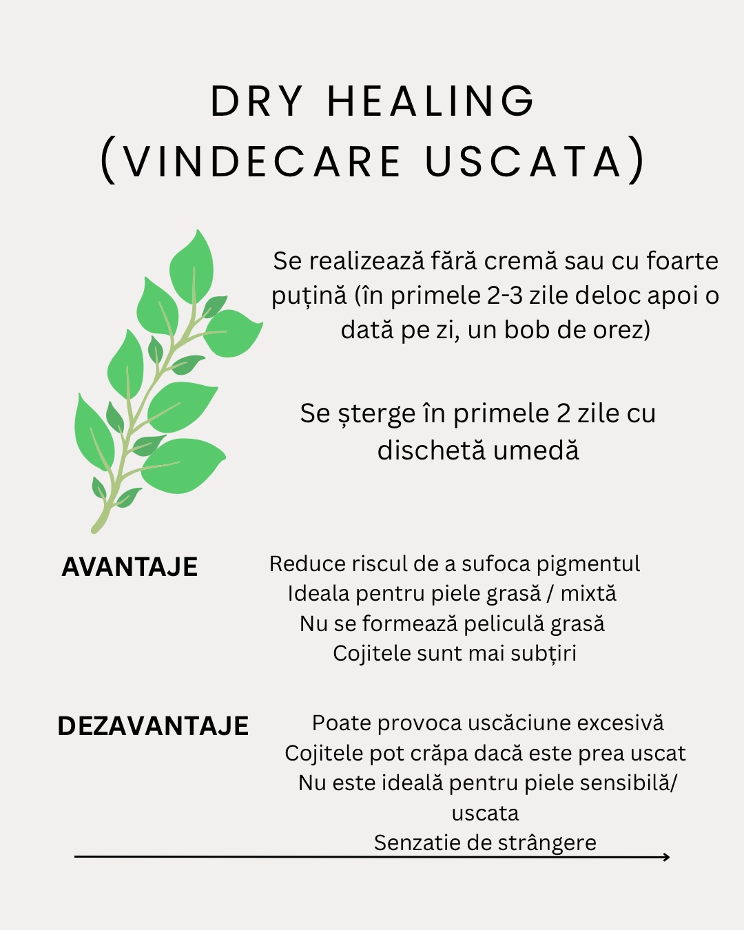 Procesul de Vindecare